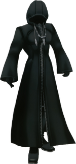 A standard black coat.