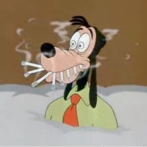 no smoking in disney