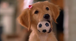 RoseBud with a soccer ball