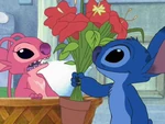 Angel confused as to why her siren song had no effect on Stitch