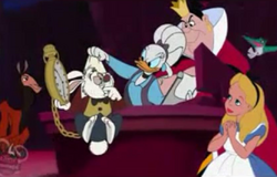 Fergie the White Rabbit, Disney Wiki