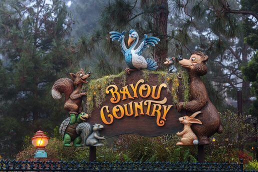 Bayou Country at Disneyland