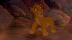 Simba runs for his life