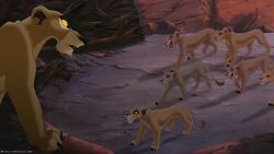 Lion2-disneyscreencaps