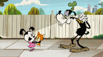 Mickey Goofy saves kitten