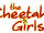 The Cheetah Girls (franchise)