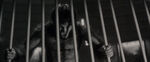 Werewolf by Night - Imprisoned Monster