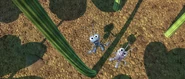 A member of the Ant Boys (A Bug's Life)