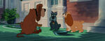 Lady-tramp-disneyscreencaps.com-1399