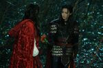 Once Upon a Time - 5x18 - Ruby Slippers - Photography - Mulan Flower