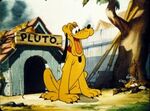 Pluto1wdt.jpg (24 KB)