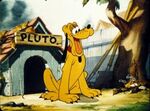 Pluto1wdt