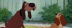 Lady-tramp-disneyscreencaps.com-2645