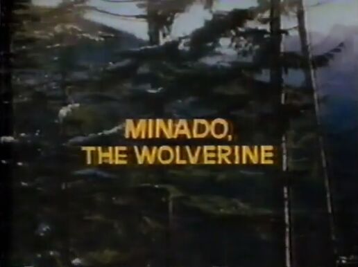 Minado the wolverine title