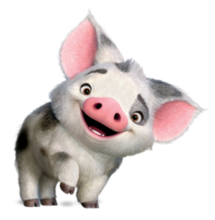 Pua Moana Gallery Disney Wiki Fandom