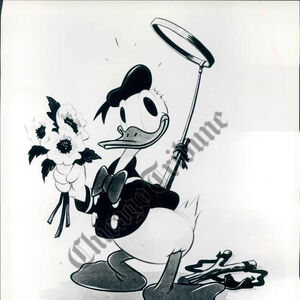 This Is Your Life Donald Duck Walt Disney Presents Episode Disney Wiki Fandom