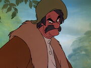 norwegian forest cat male