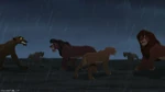 Kovu and Kiara stop the great battle