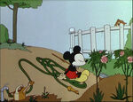 Mickey's Garden-27