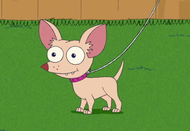 Pinky the Chihuahua | Disney Wiki | Fandom
