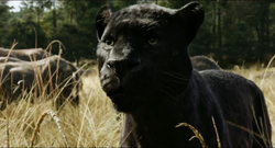 The Jungle Book 2016 (film) 22