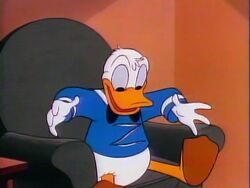 This Is Your Life Donald Duck Walt Disney Presents Episode Disney Wiki Fandom