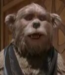 Henry Dixon Taylor (The Country Bears)