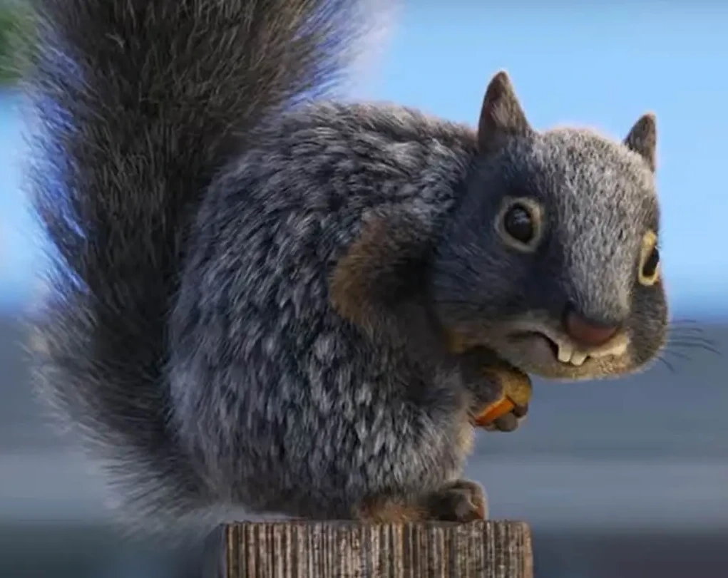 disneys up squirrel