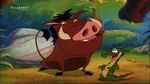 Pumbaa& Pumbaa jr