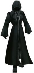 Ropa Organización XIII