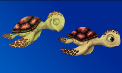 Squirt Sea Turtle Pixar Finding Nemo Plush Disneyland Walt Disney World 9”