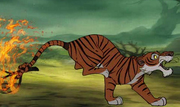 Fracaso de Share Khan en The Jungle Book.