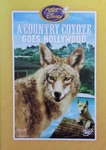 1965-coyote-7.jpg (194 KB)