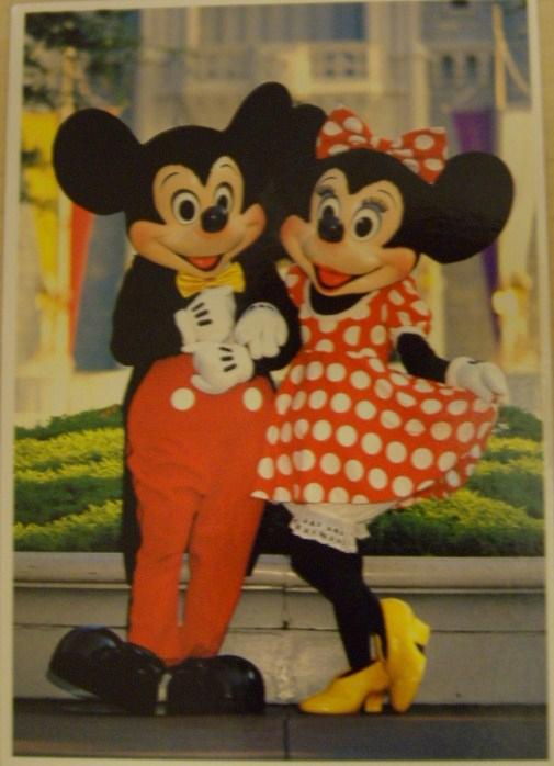 Disfraz de Mickey y Minnie Mouse🐁