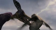 2 Ichthyornis mobbing a Pteranodon