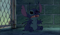 Lilo & Stitch - Stitch wakes up in a pet store