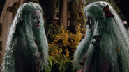 Once Upon a Time - 7x19 - Flower Child - Flora and Gothel