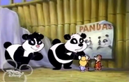 Pandas1