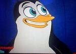 Percy the penguin08
