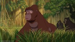 Tarzan-disneyscreencaps