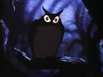Owl from The Adventures of Ichabod and Mr. Toad