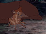 Bambi-disneyscreencaps.com-540