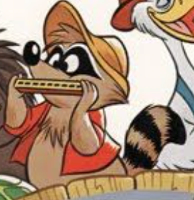 Br'er Raccoon