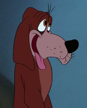 Stella disney dog sales