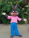 Brer Rabbit DLp.jpg (583 KB)