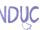 I.N.D.U.C.K.S.