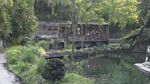 Kilimanjaro Safari Truck