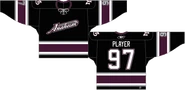 Mighty Ducks alternate jersey 2003.png (40 KB) The alternate jersey introduced in 2003 and worn until the last Mighty Ducks season. The jersey is completely void of the original Mighty Ducks identity.