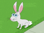 Dennis the Bunny (Phineas and Ferb)