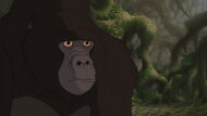 Kerchak (Tarzan)